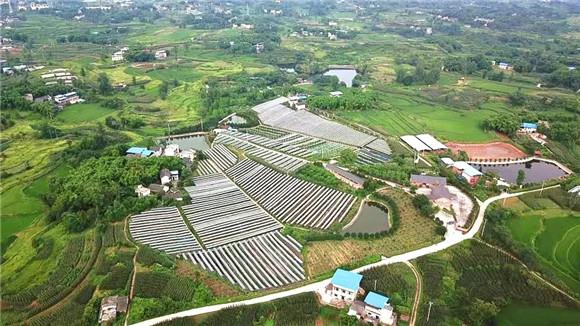 合川区钱塘镇至沙鱼镇扩公路征地多少钱一亩?合川双槐镇国土所电话多少-图2 合川区钱塘镇至沙鱼镇扩公路征地多少钱一亩?合川双槐镇国土所电话多少-图2