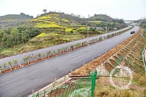 合川区钱塘镇至沙鱼镇扩公路征地多少钱一亩?合川双槐镇国土所电话多少-图3 合川区钱塘镇至沙鱼镇扩公路征地多少钱一亩?合川双槐镇国土所电话多少-图3