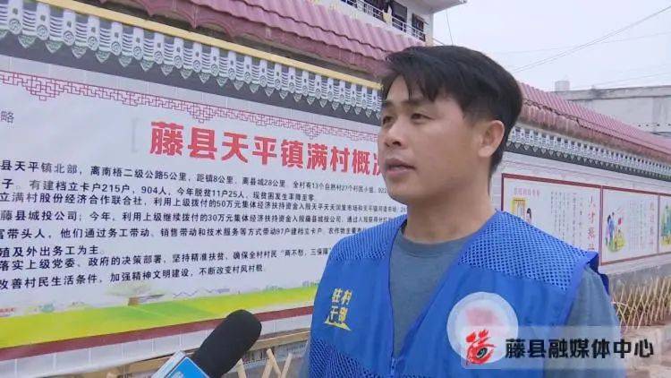 藤县最富三个镇?2020年藤县天平镇有多少人口-图1 藤县最富三个镇?2020年藤县天平镇有多少人口-图1