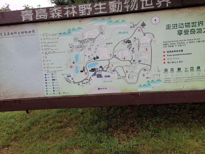 青岛黄岛森林野生公园门票?胶南野生动物园门票多少-图1 青岛黄岛森林野生公园门票?胶南野生动物园门票多少-图1