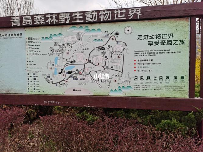 青岛黄岛森林野生公园门票?胶南野生动物园门票多少-图2 青岛黄岛森林野生公园门票?胶南野生动物园门票多少-图2