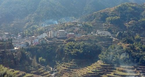 丽水特产是啥?丽水到青田小舟山多少公里-图3 丽水特产是啥?丽水到青田小舟山多少公里-图3