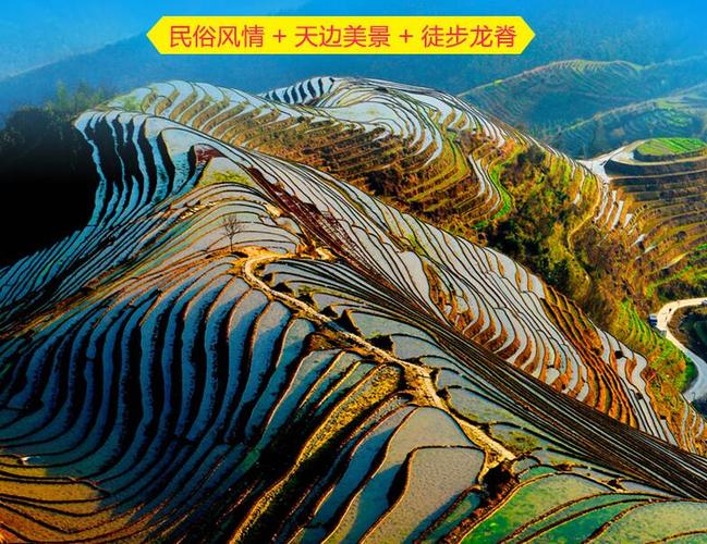 柳州至龙脊梯田多少公里?玉林龙脊梯田多少公里-图1 柳州至龙脊梯田多少公里?玉林龙脊梯田多少公里-图1