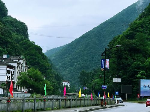 神农架木鱼镇海拔高度?神农架木鱼镇海拔多少度-图1 神农架木鱼镇海拔高度?神农架木鱼镇海拔多少度-图1
