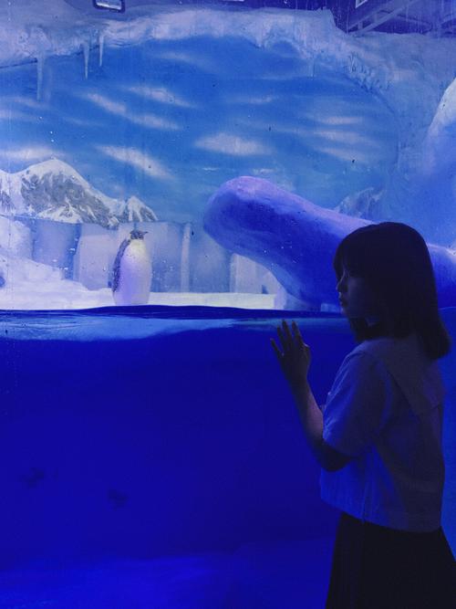 冬天海洋馆里的气温是是多少?穿什么衣服合适?成都海洋馆温度多少-图1 冬天海洋馆里的气温是是多少?穿什么衣服合适?成都海洋馆温度多少-图1