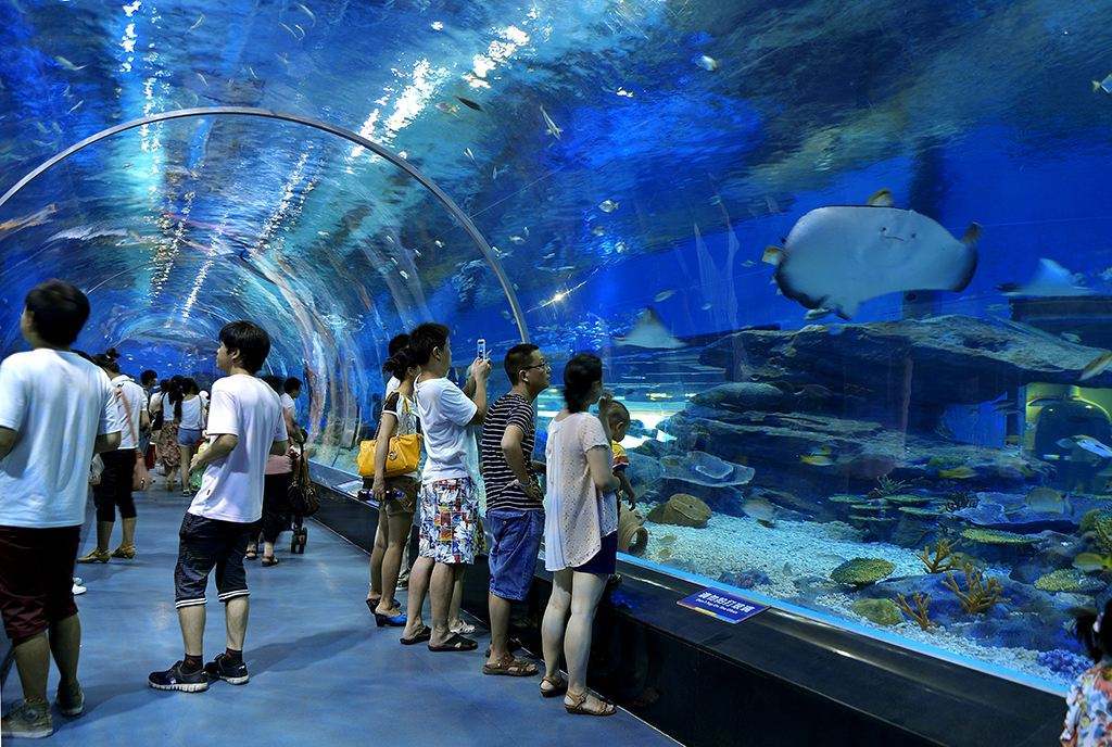 郑州海洋馆室内温度多少?成都海洋馆温度多少-图1 郑州海洋馆室内温度多少?成都海洋馆温度多少-图1