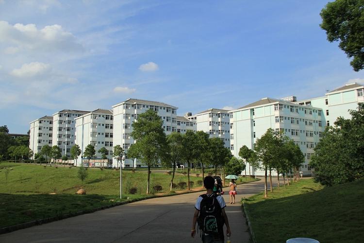 华东交通大学进贤校区怎么样?从三阳到进贤多少-图3 华东交通大学进贤校区怎么样?从三阳到进贤多少-图3