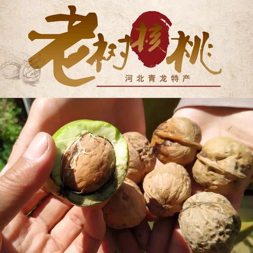 秦皇岛特产有哪些?在秦皇岛的干核桃多少钱一斤-图3 秦皇岛特产有哪些?在秦皇岛的干核桃多少钱一斤-图3