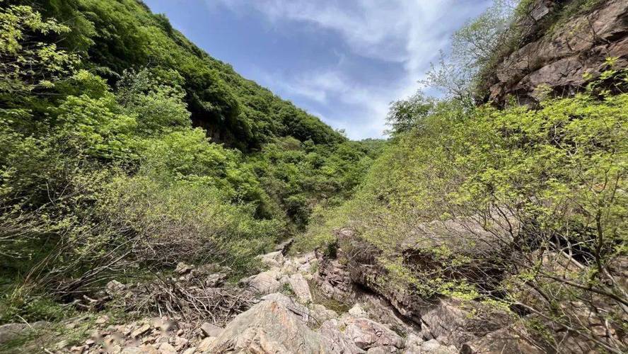 河南汝州有什么好玩儿的地方吗?汝州蟒川罗圈冰山储量是多少-图2 河南汝州有什么好玩儿的地方吗?汝州蟒川罗圈冰山储量是多少-图2