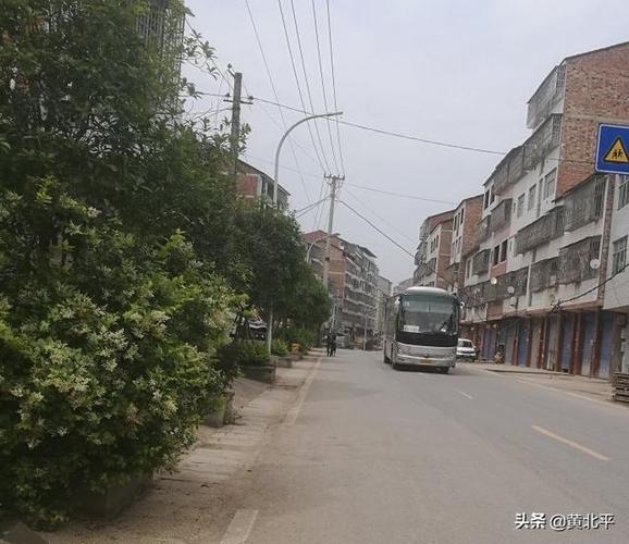 达州周边乡镇有哪些?大竹县高明镇邮政编码是多少-图2 达州周边乡镇有哪些?大竹县高明镇邮政编码是多少-图2