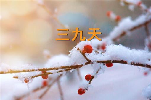 三九,四九北方气温最低多少度？四九天是多少度零下多少度-图3