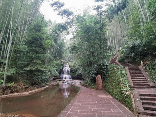 蜀南竹海离宜宾有多远?宜宾高客站到竹海多少公里-图1 蜀南竹海离宜宾有多远?宜宾高客站到竹海多少公里-图1