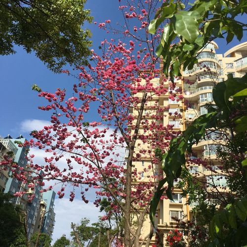 不冷不热的城市?玉溪市红塔区冬天最冷有多少-图2 不冷不热的城市?玉溪市红塔区冬天最冷有多少-图2