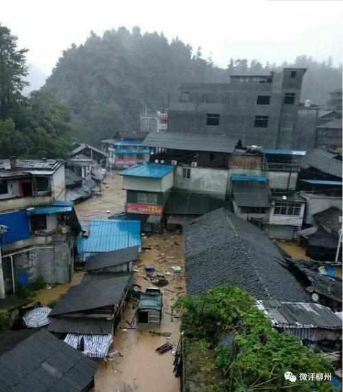 融水县村屯人口排名?融水杆洞乡年降水量多少-图3 融水县村屯人口排名?融水杆洞乡年降水量多少-图3