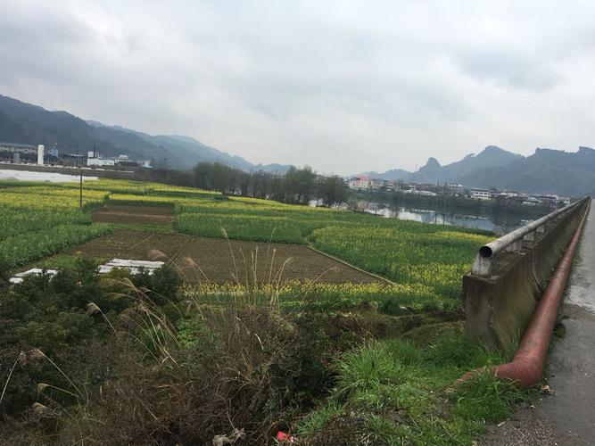 湖南省怀化市新晃侗族自治县方家屯乡上寨村邮编是什么?中寨到新晃有多少公里-图3 湖南省怀化市新晃侗族自治县方家屯乡上寨村邮编是什么?中寨到新晃有多少公里-图3