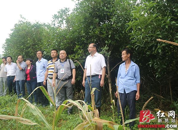 湖南省怀化市新晃侗族自治县方家屯乡上寨村邮编是什么?中寨到新晃有多少公里-图2 湖南省怀化市新晃侗族自治县方家屯乡上寨村邮编是什么?中寨到新晃有多少公里-图2