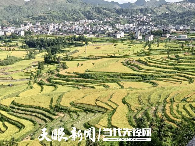 凯里市旁海镇有几个村?凯里市到旁海镇多少公里-图3 凯里市旁海镇有几个村?凯里市到旁海镇多少公里-图3