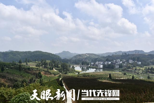 凯里市旁海镇有几个村?凯里市到旁海镇多少公里-图1 凯里市旁海镇有几个村?凯里市到旁海镇多少公里-图1