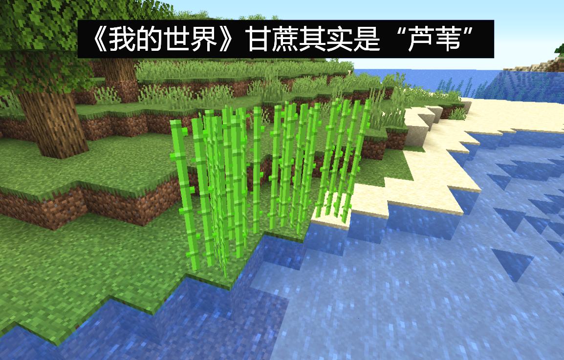 我的世界甘蔗生长条件?甘蔗多少度就不生长了-图1 我的世界甘蔗生长条件?甘蔗多少度就不生长了-图1