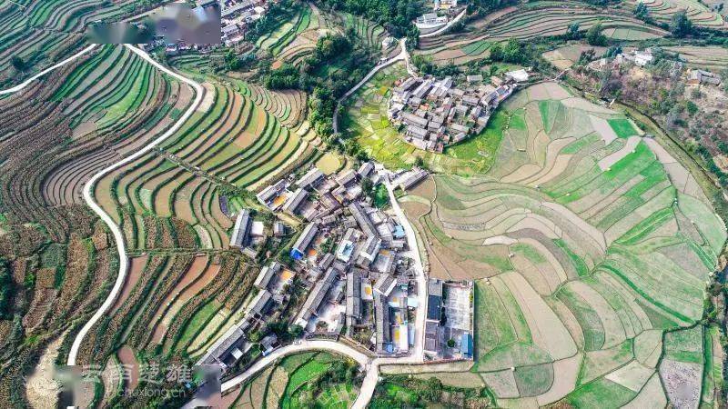 牟定县有几个村？牟定至江坡镇多少公里-图3