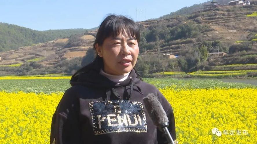 牟定县有几个村？牟定至江坡镇多少公里-图2