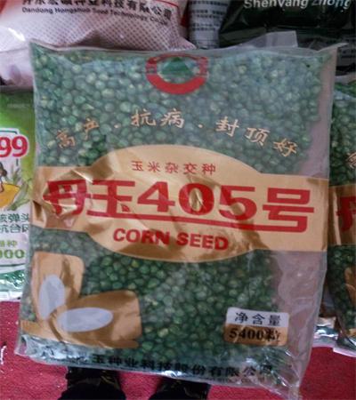 丹玉405适合山东种植吗?辽宁省丹东市多少集温-图2 丹玉405适合山东种植吗?辽宁省丹东市多少集温-图2