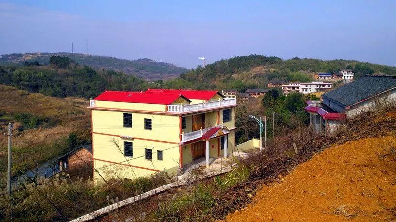 邵东玉竹介绍?邵东流泽镇的人年平均收入是多少-图3 邵东玉竹介绍?邵东流泽镇的人年平均收入是多少-图3