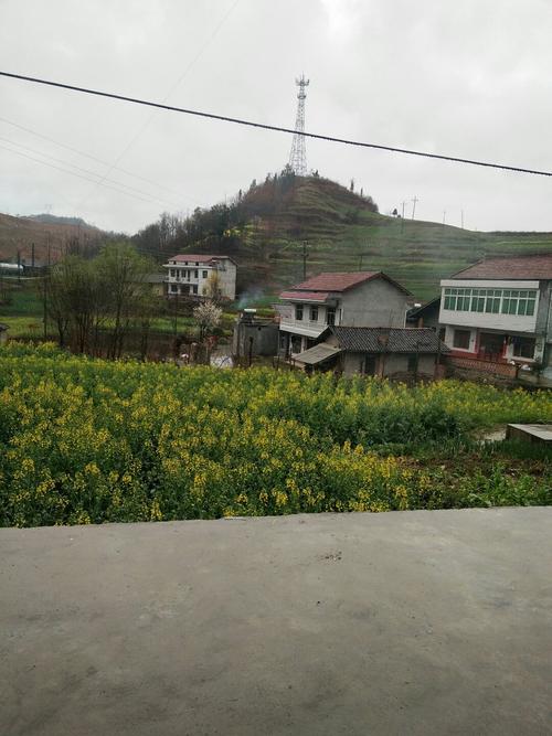 宁强县3大镇?湖北口景阳乡每个村多少人口-图1 宁强县3大镇?湖北口景阳乡每个村多少人口-图1