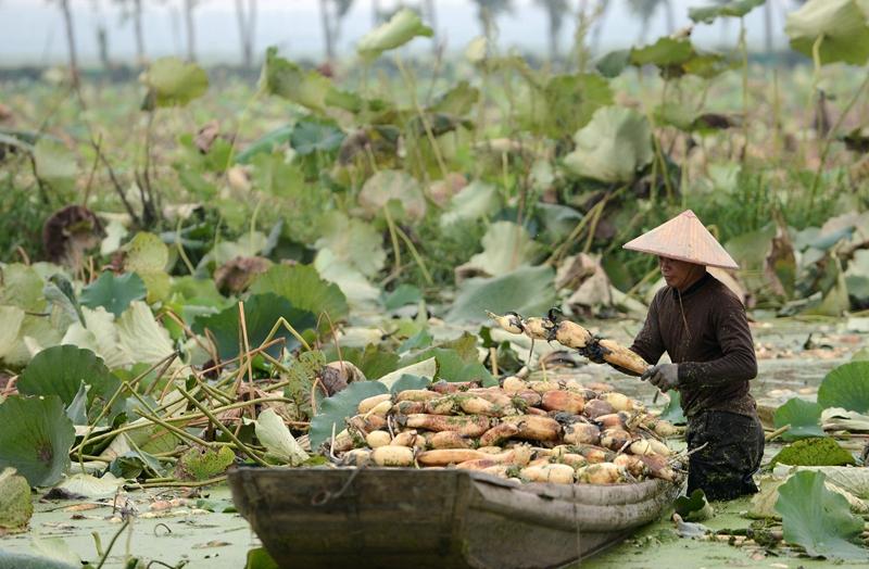身份证3424开头的归属地是哪啊?霍邱城西湖派出所电话是多少-图3 身份证3424开头的归属地是哪啊?霍邱城西湖派出所电话是多少-图3
