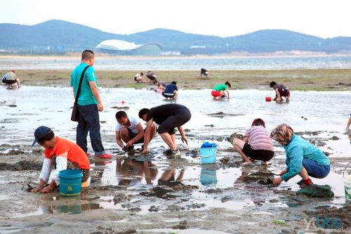 猴石村赶海时间?2020年黄岩11月份气温多少度-图1 猴石村赶海时间?2020年黄岩11月份气温多少度-图1