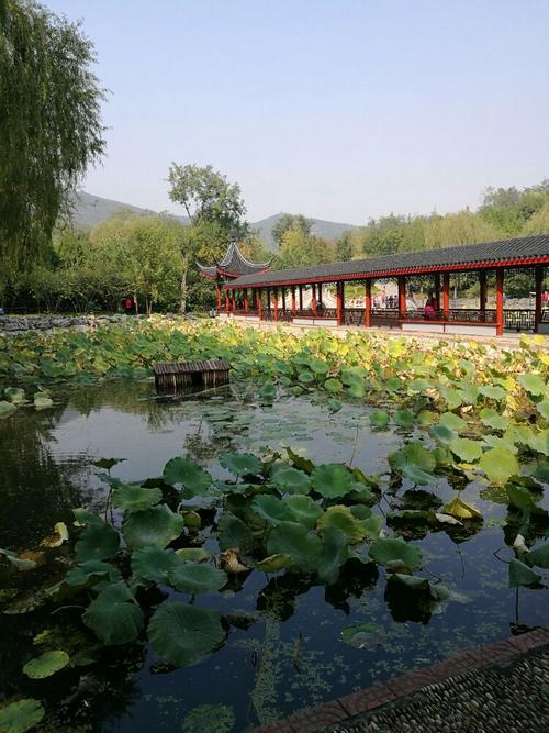 南宫市有什么好玩的地方?河北南宫最低气温是多少-图2 南宫市有什么好玩的地方?河北南宫最低气温是多少-图2