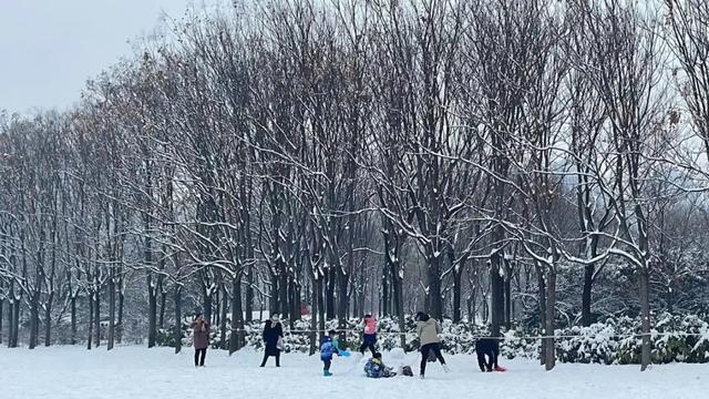 江苏有大雪暴雪吗?今天睢宁县的温度多少合适-图1 江苏有大雪暴雪吗?今天睢宁县的温度多少合适-图1