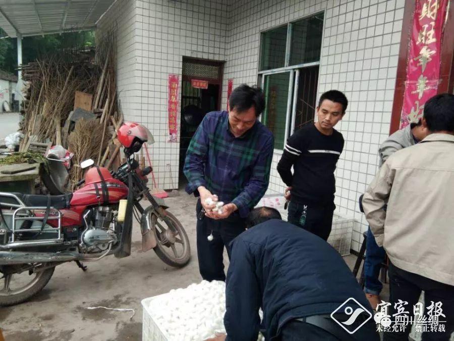 高县有多少个镇?高县蕉村镇的邮政编码是多少-图2 高县有多少个镇?高县蕉村镇的邮政编码是多少-图2
