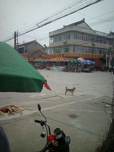 江苏省泰州市泰兴市新街镇钱南村邮编是什么?泰兴新街镇车站号码是多少-图1 江苏省泰州市泰兴市新街镇钱南村邮编是什么?泰兴新街镇车站号码是多少-图1