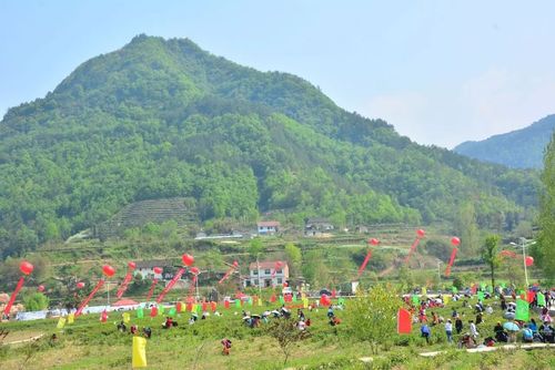 不要门票有山有水夏天去哪里玩?湖北保康店垭海拔最高多少米-图1 不要门票有山有水夏天去哪里玩?湖北保康店垭海拔最高多少米-图1