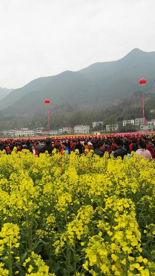 襄阳哪里好玩?湖北保康马良海拔最高多少米-图2 襄阳哪里好玩?湖北保康马良海拔最高多少米-图2