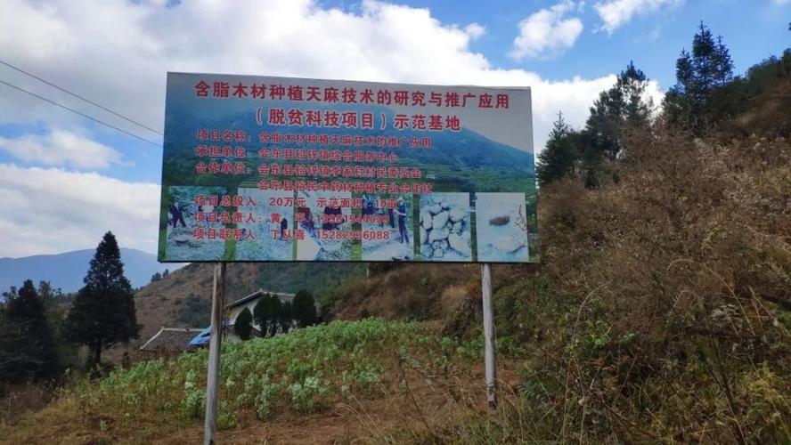 铟镓锗在什么地方找?四川省会东县铅锌镇海拔多少米-图1 铟镓锗在什么地方找?四川省会东县铅锌镇海拔多少米-图1