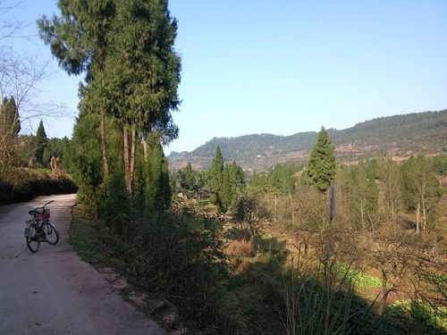 四川省营山县有多少个镇?营山到绿水客车多少钱-图3 四川省营山县有多少个镇?营山到绿水客车多少钱-图3