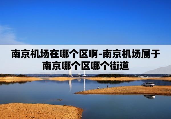 南京机场是什么时候建的?2003年南京最低气温是多少度-图3 南京机场是什么时候建的?2003年南京最低气温是多少度-图3