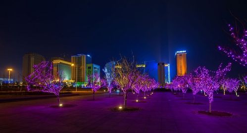 文登夜景最佳地点?文登学公园占地面积是多少-图1 文登夜景最佳地点?文登学公园占地面积是多少-图1