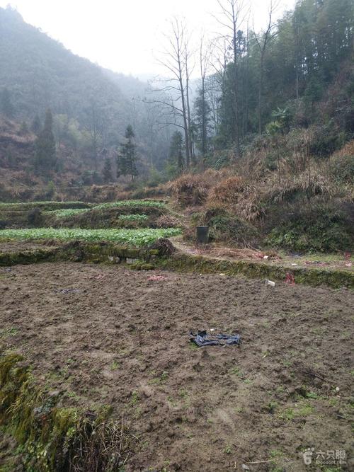 秀山县哪个镇比较大?秀山到隘口有多少公里-图3 秀山县哪个镇比较大?秀山到隘口有多少公里-图3