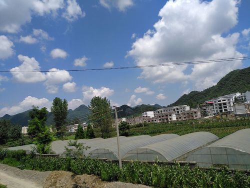 贵州省遵义市桐梓县,有多少个乡镇?桐梓九坝有多少个村-图2 贵州省遵义市桐梓县,有多少个乡镇?桐梓九坝有多少个村-图2