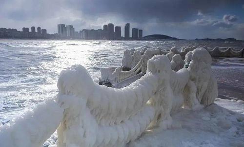 2020年山东冬天雪多吗?2020年威海12月气温多少度-图1 2020年山东冬天雪多吗?2020年威海12月气温多少度-图1