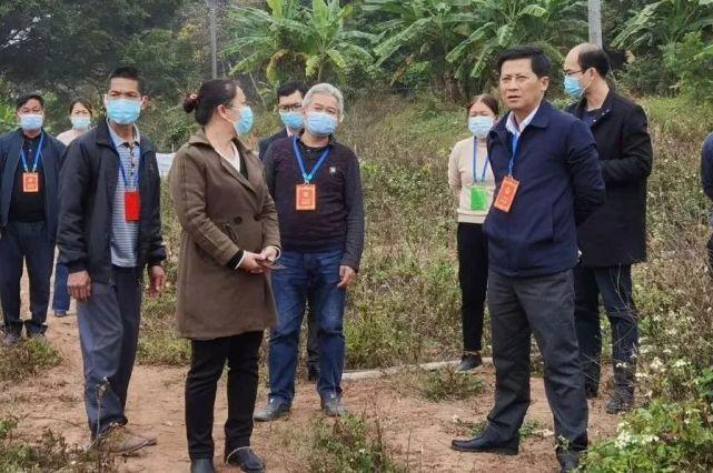 枯娄的读音和意思?上思公正乡有多少人口-图1 枯娄的读音和意思?上思公正乡有多少人口-图1