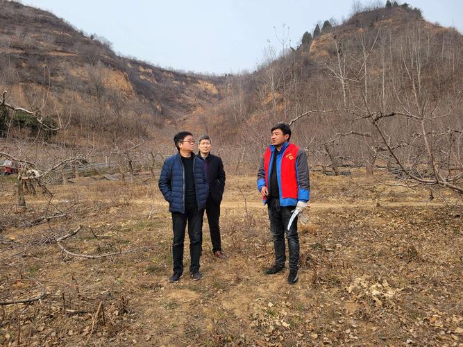 河南康养集团都有哪些项目?三门峡到寺河乡多少公里-图2 河南康养集团都有哪些项目?三门峡到寺河乡多少公里-图2