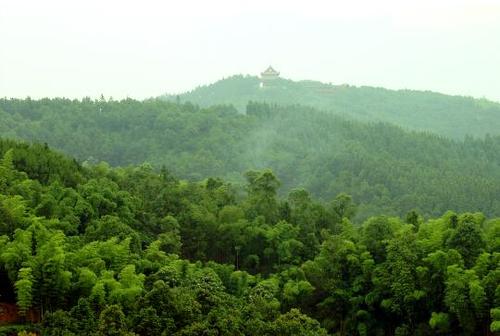 青山岭森林公园要门票么?富顺县万寿酒多少钱一瓶-图2 青山岭森林公园要门票么?富顺县万寿酒多少钱一瓶-图2