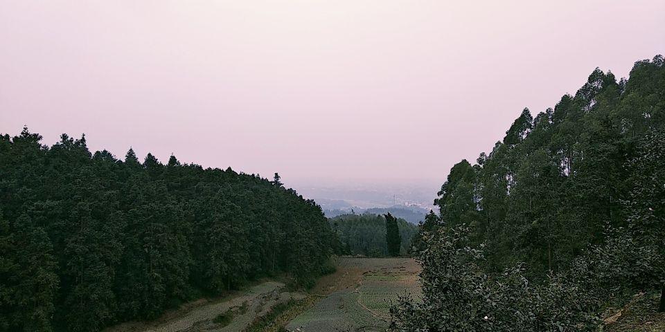 青山岭森林公园要门票么?富顺县万寿酒多少钱一瓶-图3 青山岭森林公园要门票么?富顺县万寿酒多少钱一瓶-图3