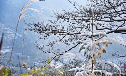 半月雪什么意思?今年新洲要下多少场雪-图3 半月雪什么意思?今年新洲要下多少场雪-图3