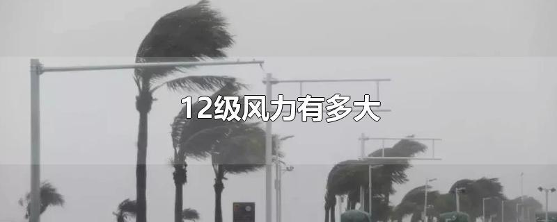 12级风力的有多大威力？12级风力相当于每米多少吨力-图1