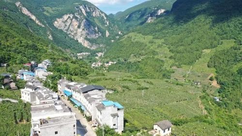 重庆奉节地区有几个县?奉节到吐祥的车票价多少钱一公里-图2 重庆奉节地区有几个县?奉节到吐祥的车票价多少钱一公里-图2